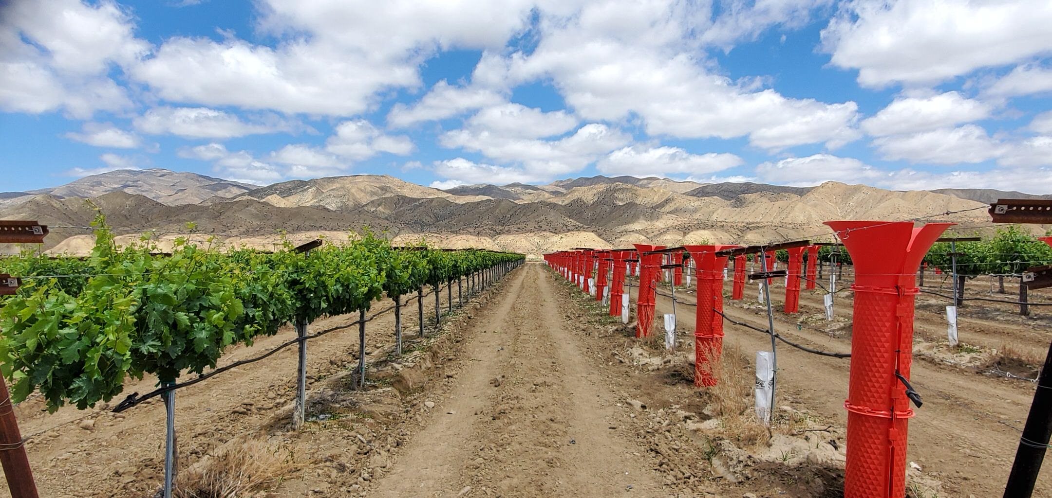 water-savings-opti-harvest-crop-agriculture-climate-aid-tool